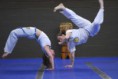/album/galerie-de-photos1/photo-capoeira-3-jpg/